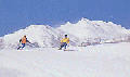 SkiIgayaS.gif